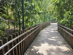 Singapore Botanic Gardens 4143546848