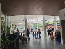 Singapore Botanic Gardens 3898814193