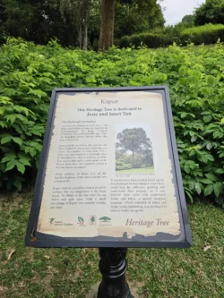 Singapore Botanic Gardens 3490081481