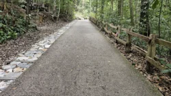 Bukit Timah Nature Reserve 907109468