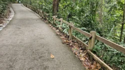 Bukit Timah Nature Reserve 2705678680