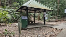 Bukit Timah Nature Reserve 2149116297
