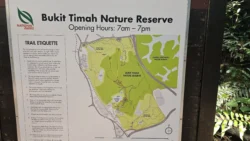Bukit Timah Nature Reserve 3279790090