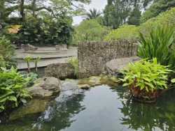 Singapore Botanic Gardens 2675641090