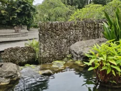 Singapore Botanic Gardens 60682426