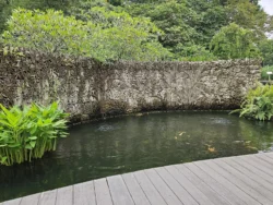 Singapore Botanic Gardens 3777036683