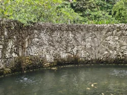 Singapore Botanic Gardens 3349406273