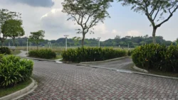 Lorong Halus Wetland 4202431655