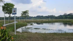 Lorong Halus Wetland 93251315