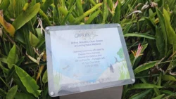 Lorong Halus Wetland 3363231861