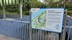 Lorong Halus Wetland 2283833788
