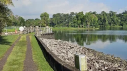 Lower Peirce Reservoir 2798795723