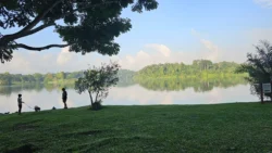Lower Peirce Reservoir 2220163893