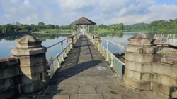 Lower Peirce Reservoir 2993154983