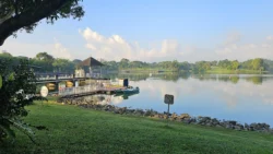 Lower Peirce Reservoir 2621518494