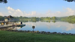 Lower Peirce Reservoir 1151390428