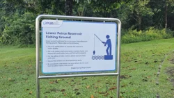 Lower Peirce Reservoir 4206437344