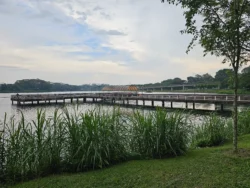Lower Seletar Reservoir Park 2377630318