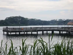 Lower Seletar Reservoir Park 3549395868