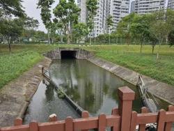 Lower Seletar Reservoir Park 1563933864