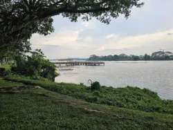 Lower Seletar Reservoir Park 51316058