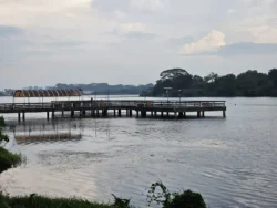 Lower Seletar Reservoir Park 897024971