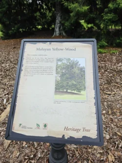 Singapore Botanic Gardens 1840722325