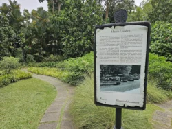 Singapore Botanic Gardens 3833015320