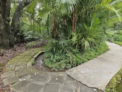 Singapore Botanic Gardens 4200273704