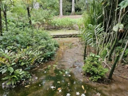 Singapore Botanic Gardens 2828196369