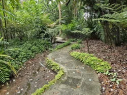 Singapore Botanic Gardens 3577390459