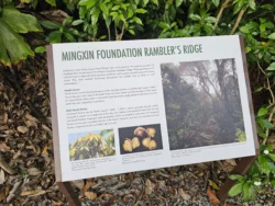 Singapore Botanic Gardens 3121924732