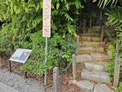 Singapore Botanic Gardens 3500722132