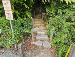 Singapore Botanic Gardens 2398887744