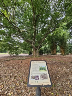 Singapore Botanic Gardens 2094851986