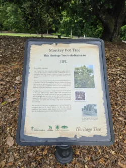Singapore Botanic Gardens 3510787239