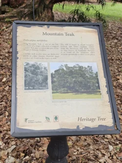 Singapore Botanic Gardens 3170281136