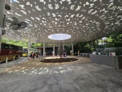 Singapore Botanic Gardens 1641421281