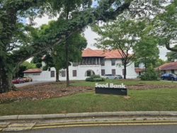 Singapore Botanic Gardens 1559516680