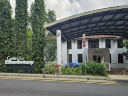 Singapore Botanic Gardens 604261094