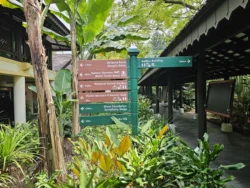 Singapore Botanic Gardens 272676875