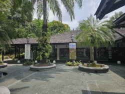 Singapore Botanic Gardens 1923820947