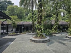 Singapore Botanic Gardens 1012767173