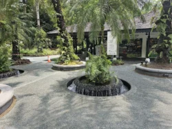 Singapore Botanic Gardens 1588989021