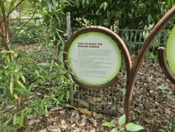 Singapore Botanic Gardens 574260034