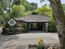 Singapore Botanic Gardens 2509321114