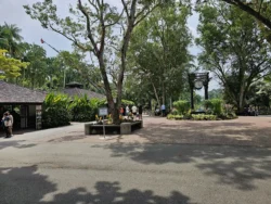 Singapore Botanic Gardens 1649882717
