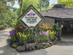 Singapore Botanic Gardens 1595352654