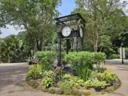Singapore Botanic Gardens 1228837315