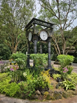 Singapore Botanic Gardens 2458212779